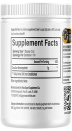 Creatina Monohidrato en Polvo Micronizada, 100 Dosis, Sin Sabor, 510g – Creatina para Fuerza Muscular, Recuperación y Rendimiento