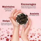 Cranberry and D-Mannose Supplement for Urinary Tract Health in Dogs and Cats - 120 Soft Chews