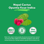 Vitapia Nopal en Polvo Orgánico - 100g
