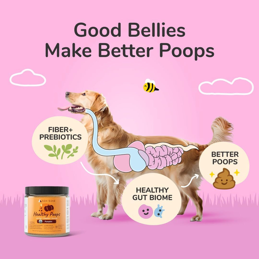 kin+kind Healthy Poops – Polvo de Calabaza Orgánico para Perros y Gatos – Prebiótico – Paquete de 3 (3 x 227 g)