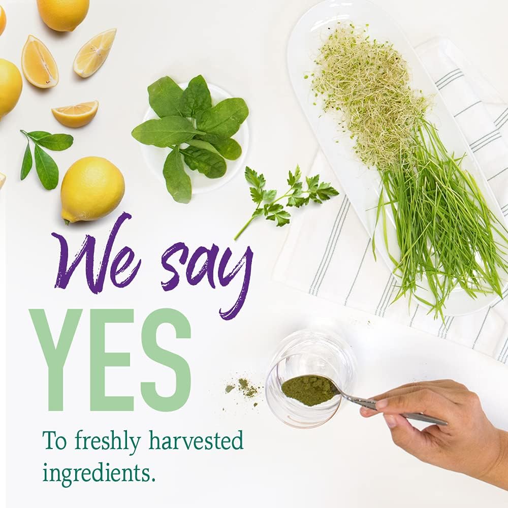 Garden of Life Raw Organic Perfect Food Alkalizer y Detoxifier, Sabor Limón Jengibre, Polvo Superfood, 30 Porciones