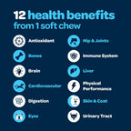 12-in-1 Complete Multivitamin for Dogs | 60 Chewables con Glucosamina, Condroitina y Probióticos Digestivos - Ready Pet Go!