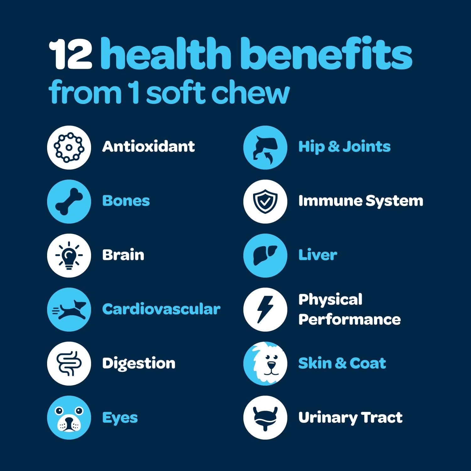 12-in-1 Complete Multivitamin for Dogs | 60 Chewables con Glucosamina, Condroitina y Probióticos Digestivos - Ready Pet Go!