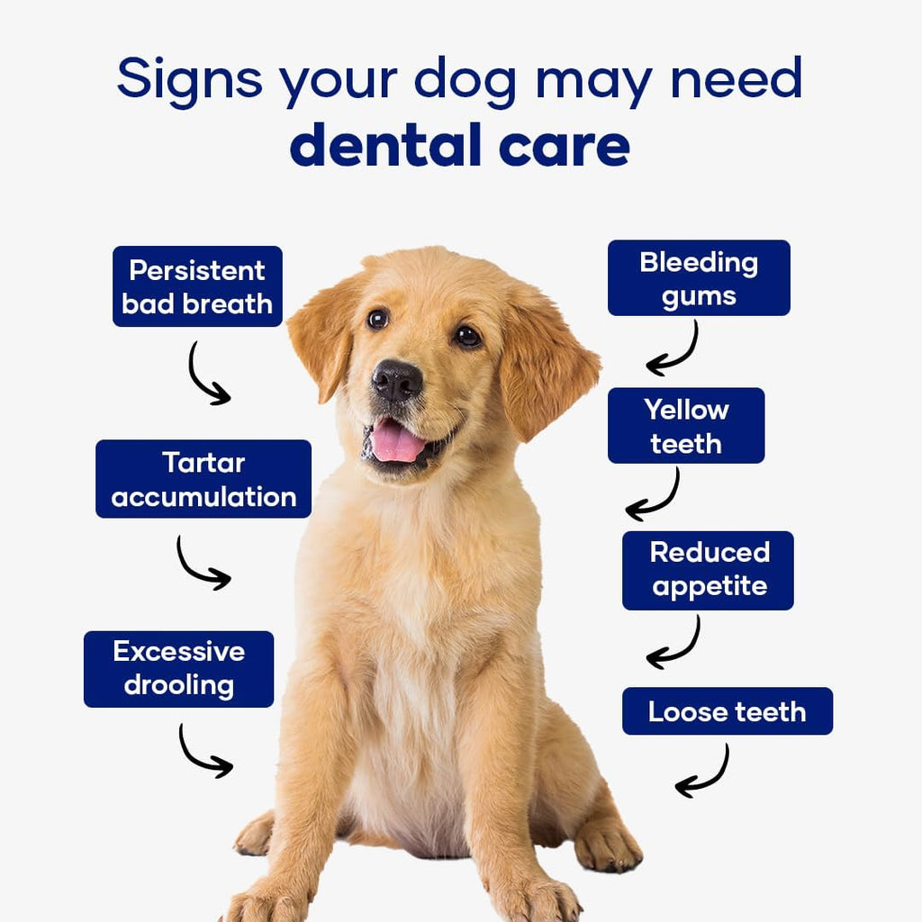 Aniwell Polvo Dental para Perros - Extractos Herbales y Algas - Pack de 3