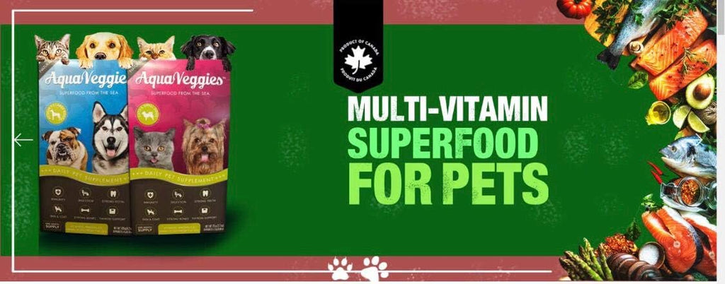 Superfood del Mar para Mascotas - 30 Sobres Diarios de 4g para Perros Medianos y Grandes (120g, Mes de Suministro)