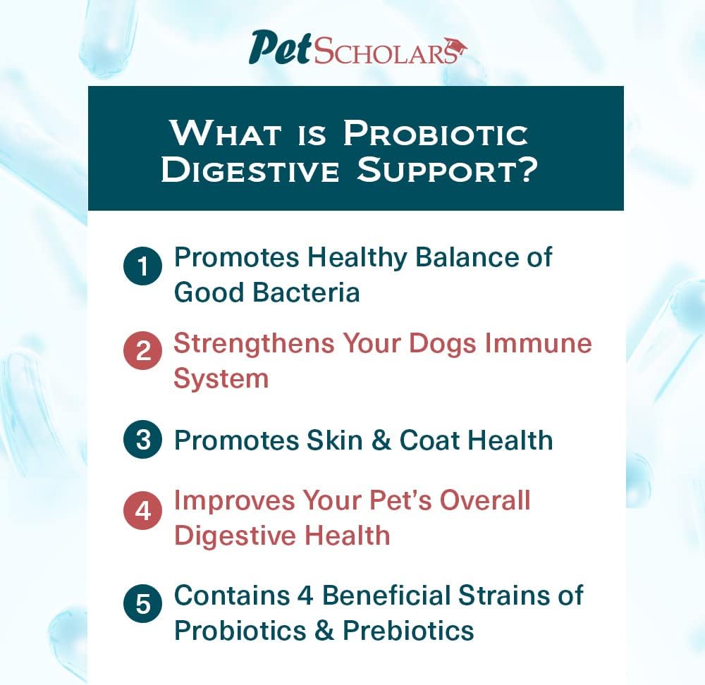 Pet Scholars Probiotic Digestive Support for – Ideal durante y después de antibióticos: Los antibióticos eliminan – Image 4