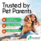 Balanced Breed All-in-1 Multivitamínico para Perros