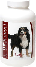 Healthy Breeds Masticables de Arándano para Perro Bernés de la Montaña, 75 unidades