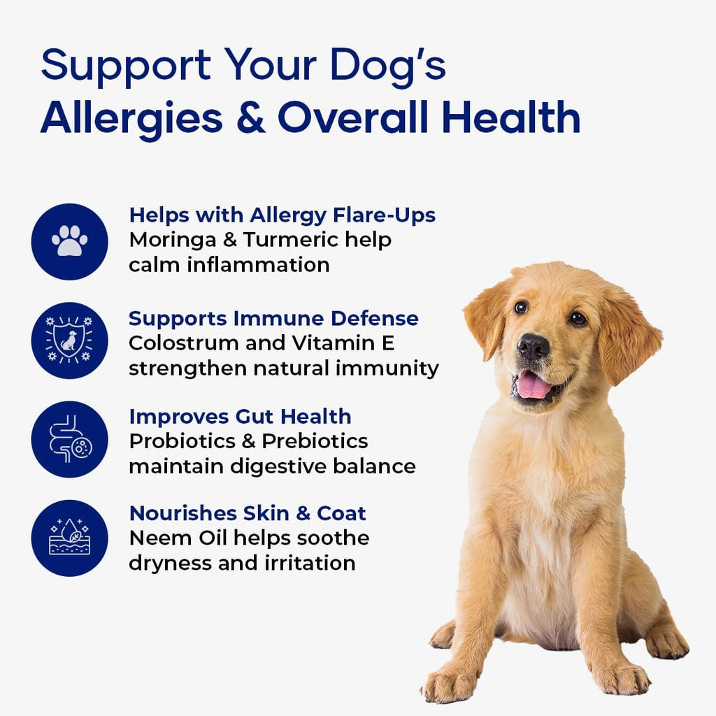 Aniwell Allergy & Immune Support Chews para Perros - Con Astrágalo, Linaza, Probióticos y Colostro