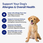 Aniwell Allergy & Immune Support Chews para Perros - Con Astrágalo, Linaza, Probióticos y Colostro