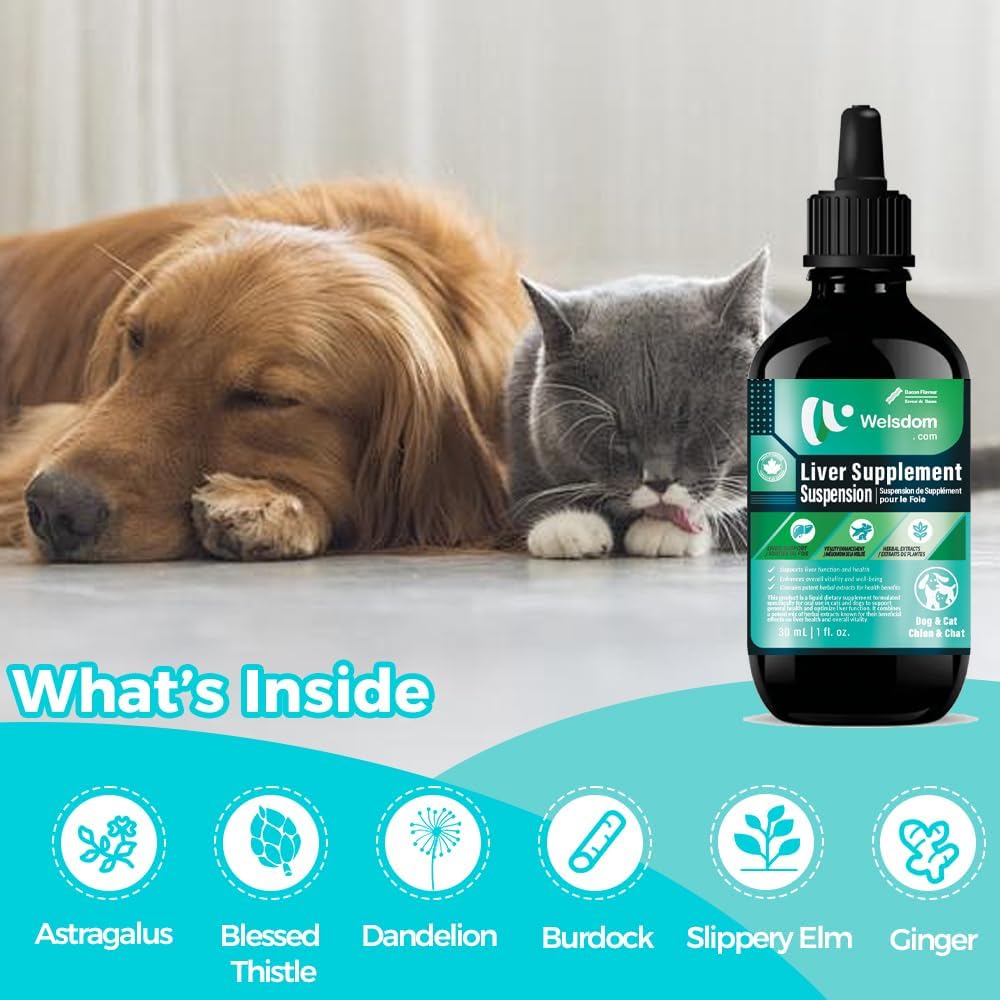 Welsdom Suspensión Herbal de Apoyo Hepático para Perros y Gatos - 30ml