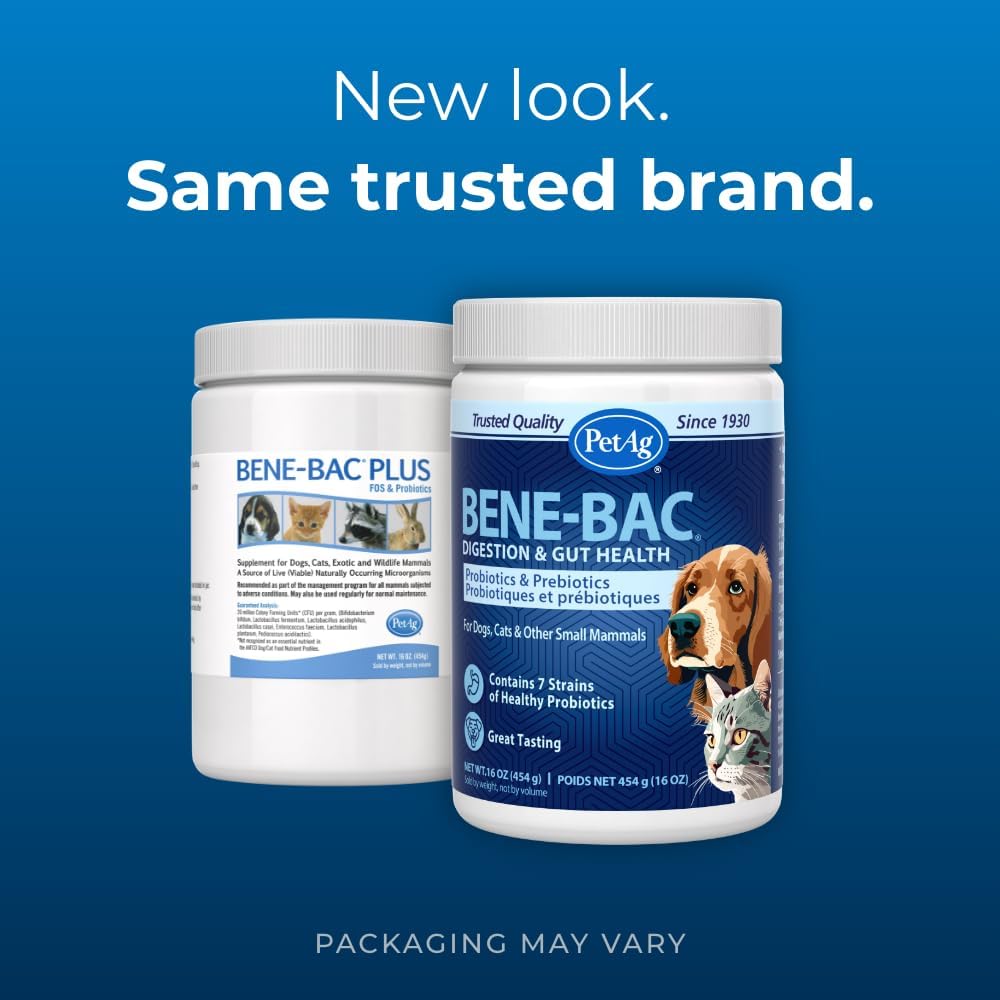 PetAg Bene-Bac Probióticos en Polvo para Perros, Gatos y Mamíferos Exóticos - 454 g