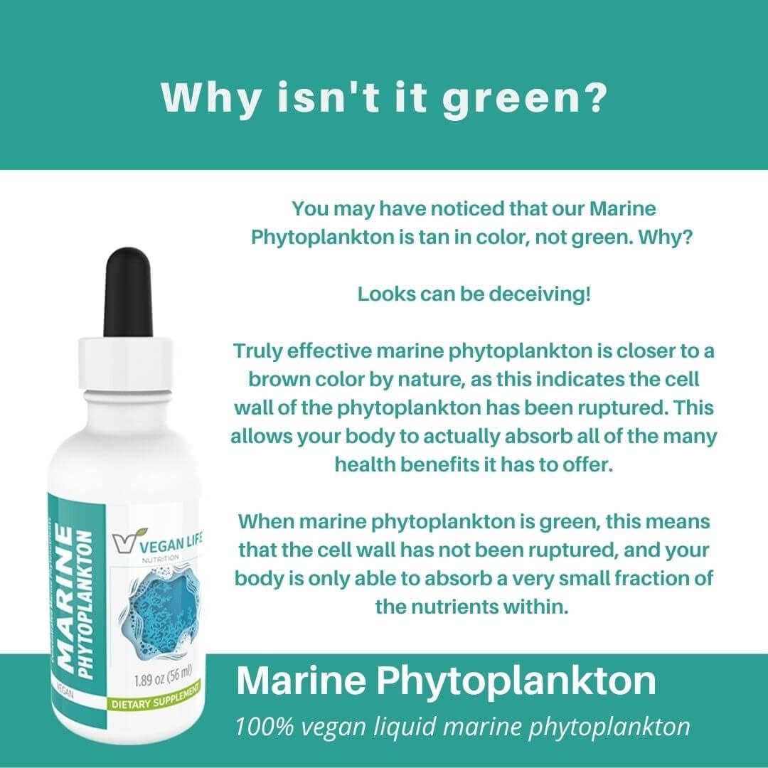 Marine Phytoplankton Liquid - Sin Gluten, No Transgénico, Alpha 3 CMP para Apoyar la Salud Celular, Energía y Vitalidad - 56 ml