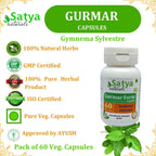 Gurmar Forte Cápsulas 500 mg - 60 Cápsulas Vegetales - Extracto de Gudmar (Gymnema Sylvestre)