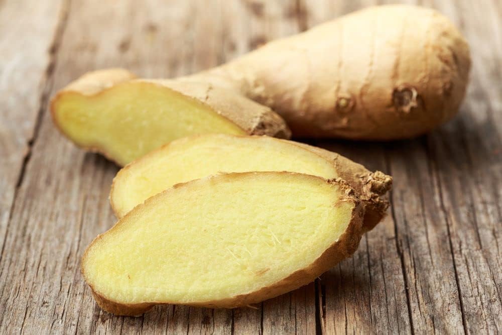 Rhizocol - Suplemento para la Salud Intestinal de Janson Labs
