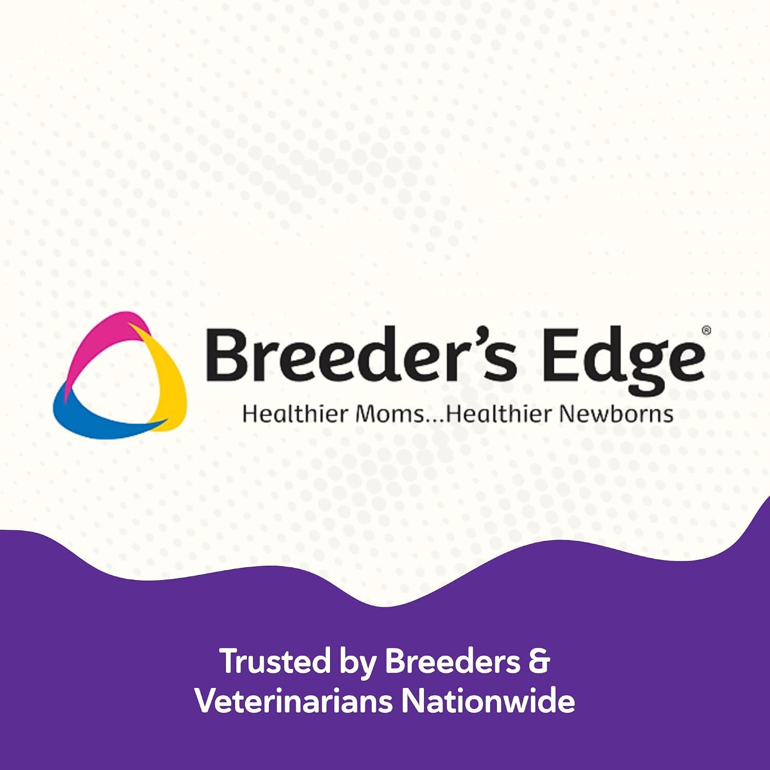 Breeder's Edge B Strong Líquido - Vitaminas B para Perros y Gatos - 946 ml