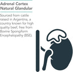 NutriCology Corteza Suprarrenal - Extracto de Glándula Bovina Liofilizado 100 mg - 100 Cápsulas Vegetales