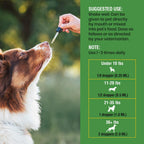 Defensa Intestinal Natural para Perros - Suplemento Herbal con Ajenjo y Nogal Negro, 118 ml (4 oz)