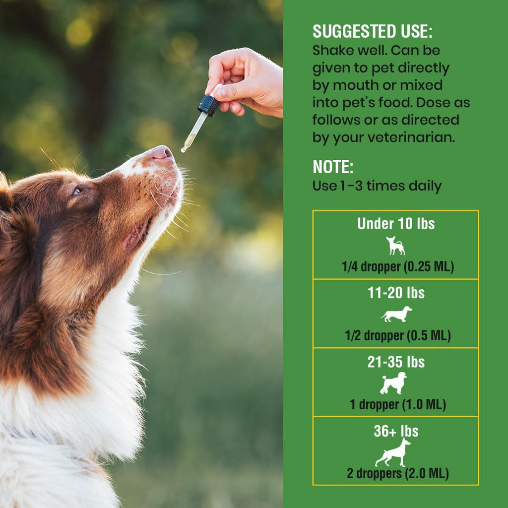 Special Breed Defensa Intestinal Natural para Perros - Suplemento Herbal con Artemisa, Nogal Negro y Probióticos - 236 ml