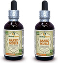 Safed Musli (Chlorophytum Borivillianum) Extracto Líquido de Raíz Seca - 2x2 oz