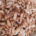 CHLYAET Calamar Seco Moyuzai (250g)