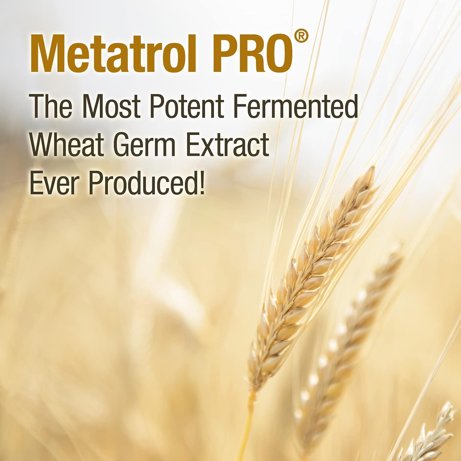 American BioSciences Metatrol PRO - Extracto de Germen de Trigo Fermentado - Apoyo Inmunológico Sin Gluten - 60 Cápsulas Vegetarianas, 41 mg