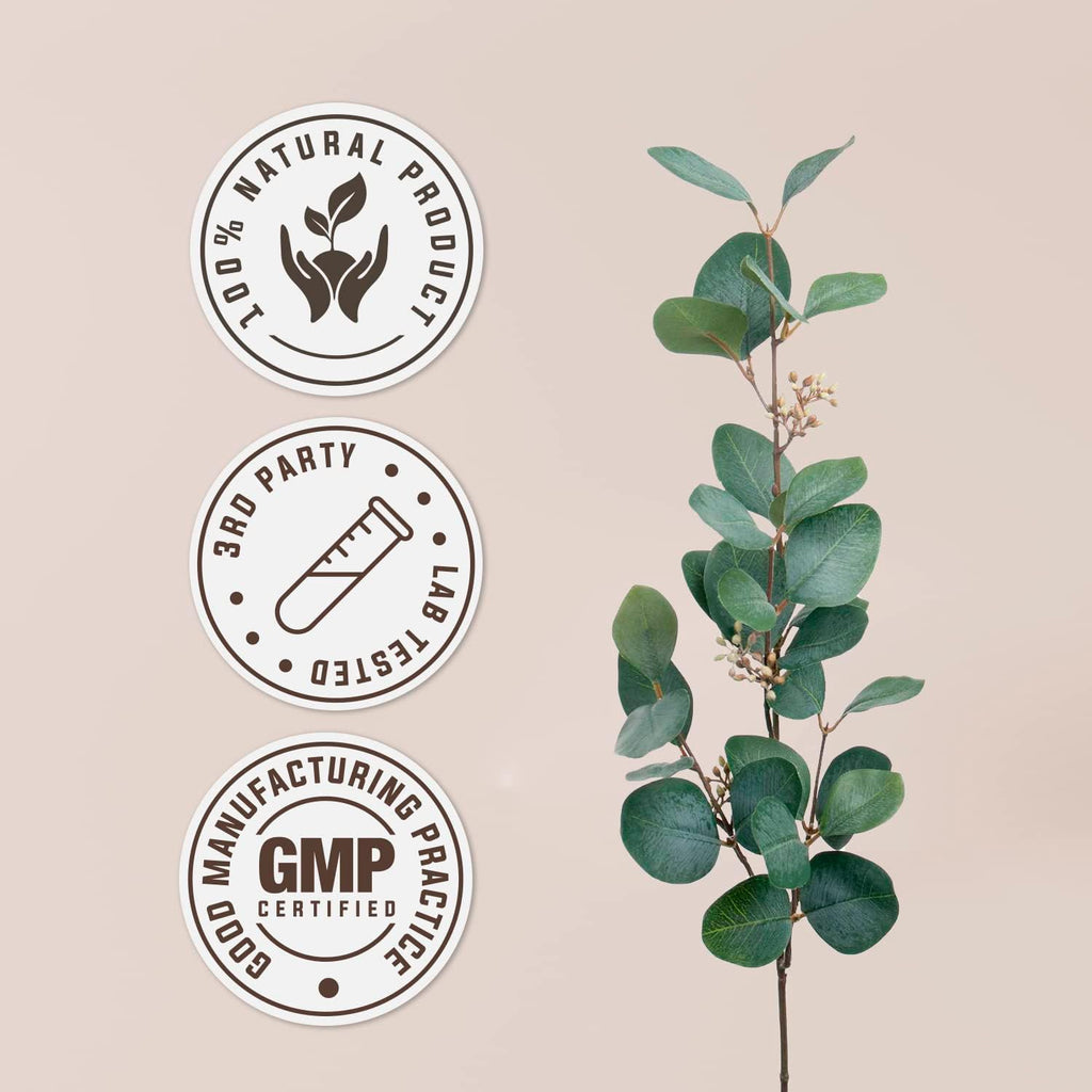 Garden Organics Nuez Moscada 60 Cápsulas | Complemento Alimenticio Herbal Ecológico