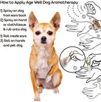 The Blissful Dog Age Well Spray Aromaterapia para Chihuahua
