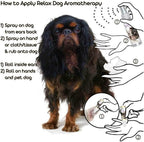 The Blissful Dog English Toy Spaniel Relax Roll-On Aromaterapia para Perros