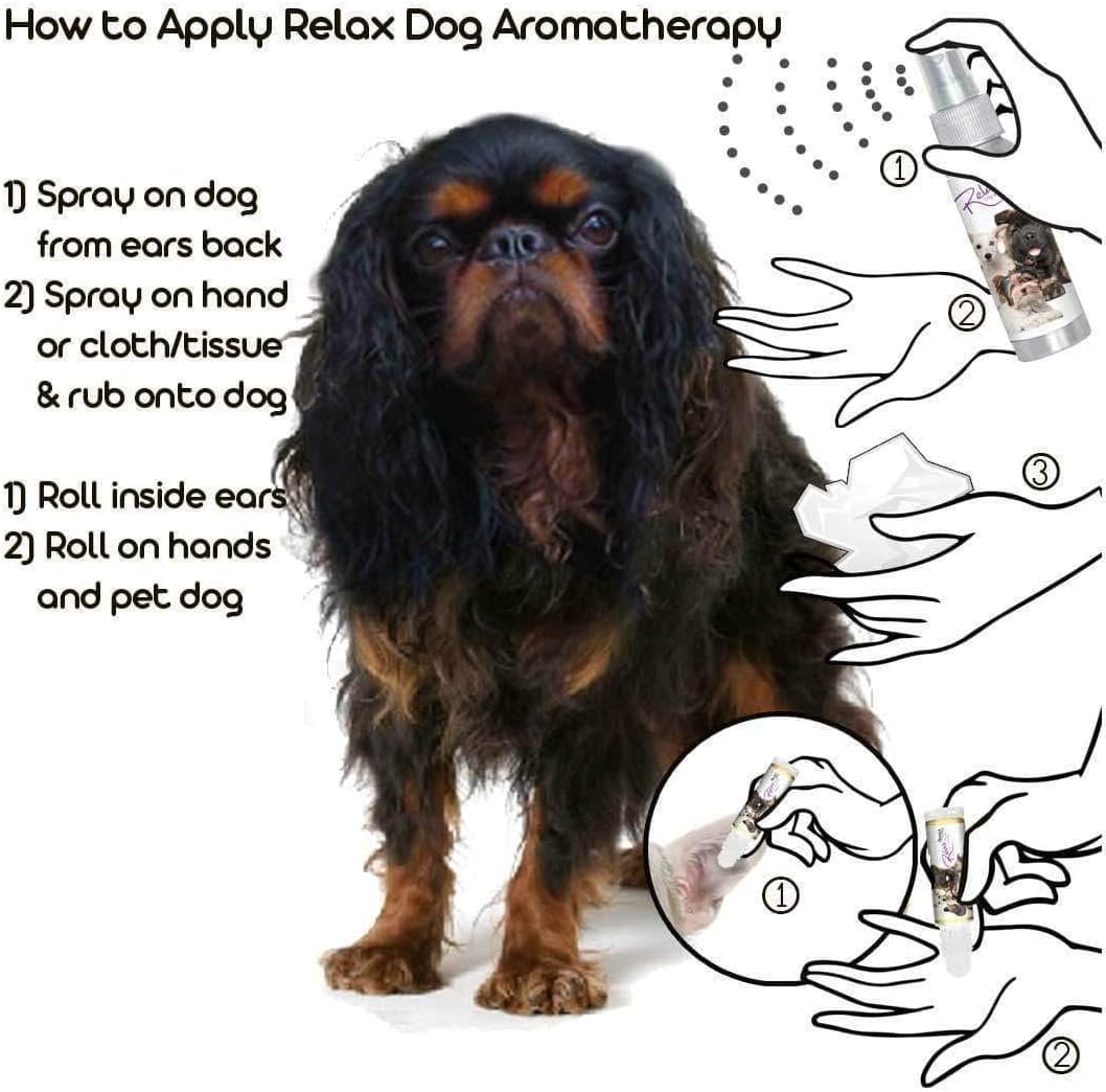 The Blissful Dog English Toy Spaniel Relax Roll-On Aromaterapia para Perros