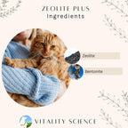 Vitality Science Zeolite Plus para Perros - Apoyo Inmunológico, Equilibrio del pH, Procesos Energéticos (450 g)