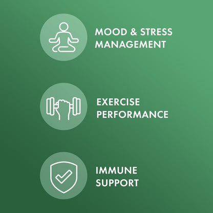 Extracto Orgánico de Rhodiola de Dr. Mercola – Función nerviosa: Puede apoyar el sistema nervioso, contribuyendo a – Image 3