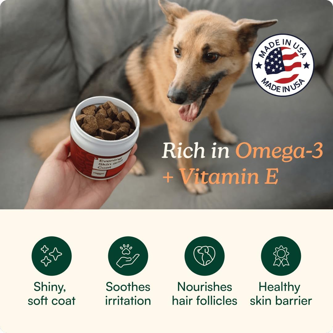 Reggie Suplemento para la Piel y el Pelaje de Perros con Omega-3 y Vitamina E - 60 Golosinas Blandas