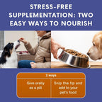 Omega 3 Fish Oil for Dogs & Cats | Joint Support | Brain & Heart Health | Pure EPA DHA | 100 Soft Gels
