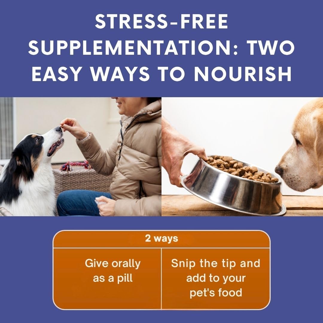 Omega 3 Fish Oil for Dogs & Cats | Joint Support | Brain & Heart Health | Pure EPA DHA | 100 Soft Gels
