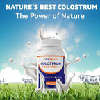 Vitamatic Calostro Bovino 30% IgG Suplemento - 1500 mg por dosis - 180 Cápsulas Vegetales