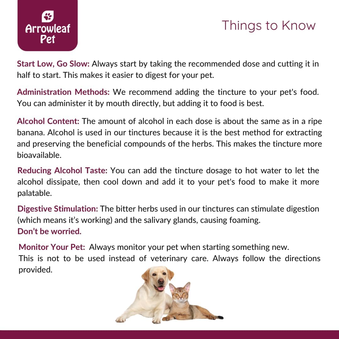 Lung Care de NaturPet Inc para Perros y Gatos | Tintura Herbal 100mL | Apoyo Respiratorio para Mascotas con Problemas de Respiración