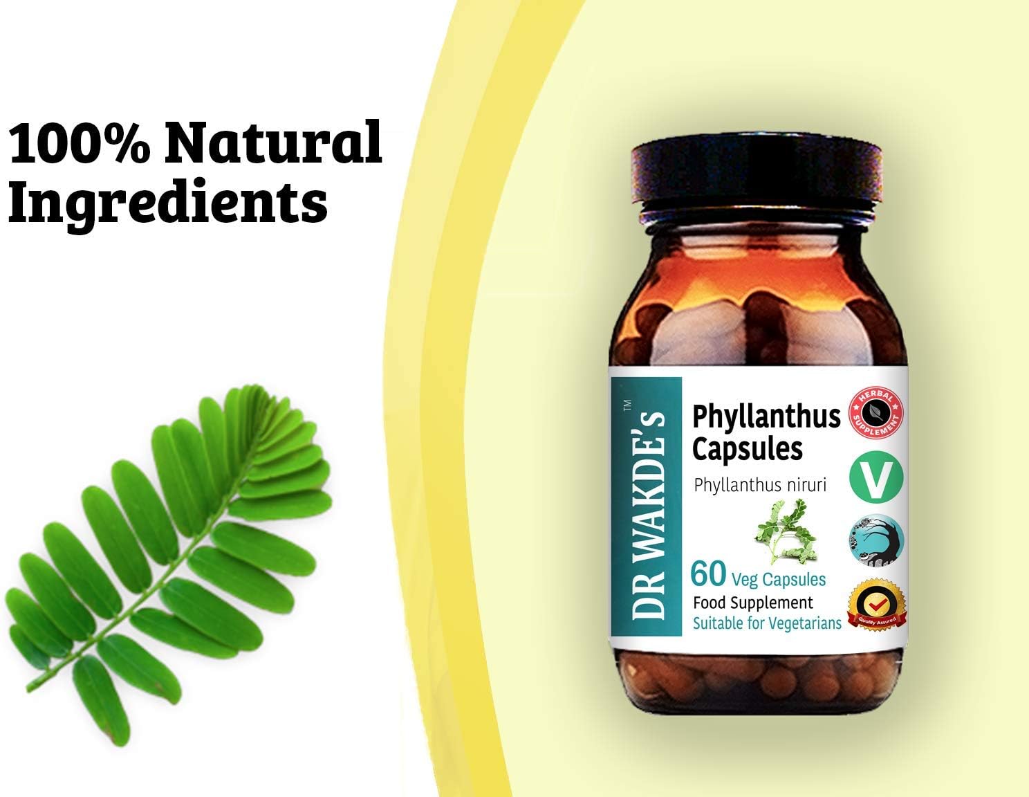 DR WAKDE's Cápsulas de Phyllanthus (Bhumi-amla/Bhumyamalaki) - 100% Herbal - 60 Cápsulas Veganas - Suplemento Ayurvédico