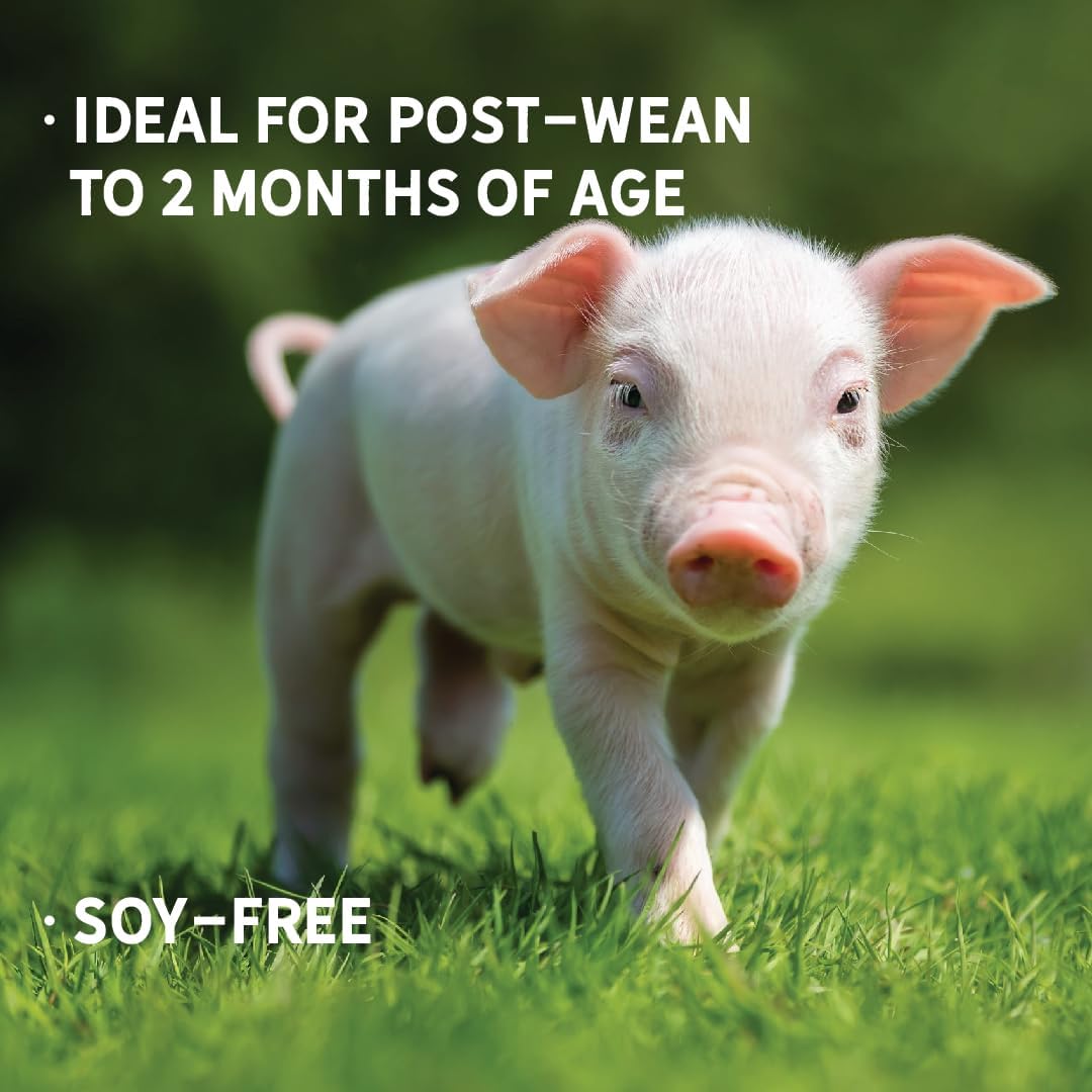 New Country Organics | Pienso con 16% de Proteína para Cerdos en Crecimiento | Sin Soja | Ecológico y No Transgénico | 18 kg