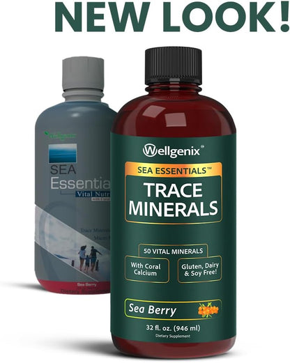 Wellgenix Sea Essentials Minerales Líquidos – Zinc: Contribuye al funcionamiento normal del sistema inmunitario y – Image 4
