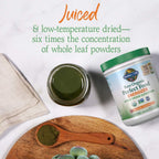 Garden of Life Raw Organic Perfect Food Energizer - Superfood Verde en Polvo Sabor Granada y Yerba Mate, 30 Raciones