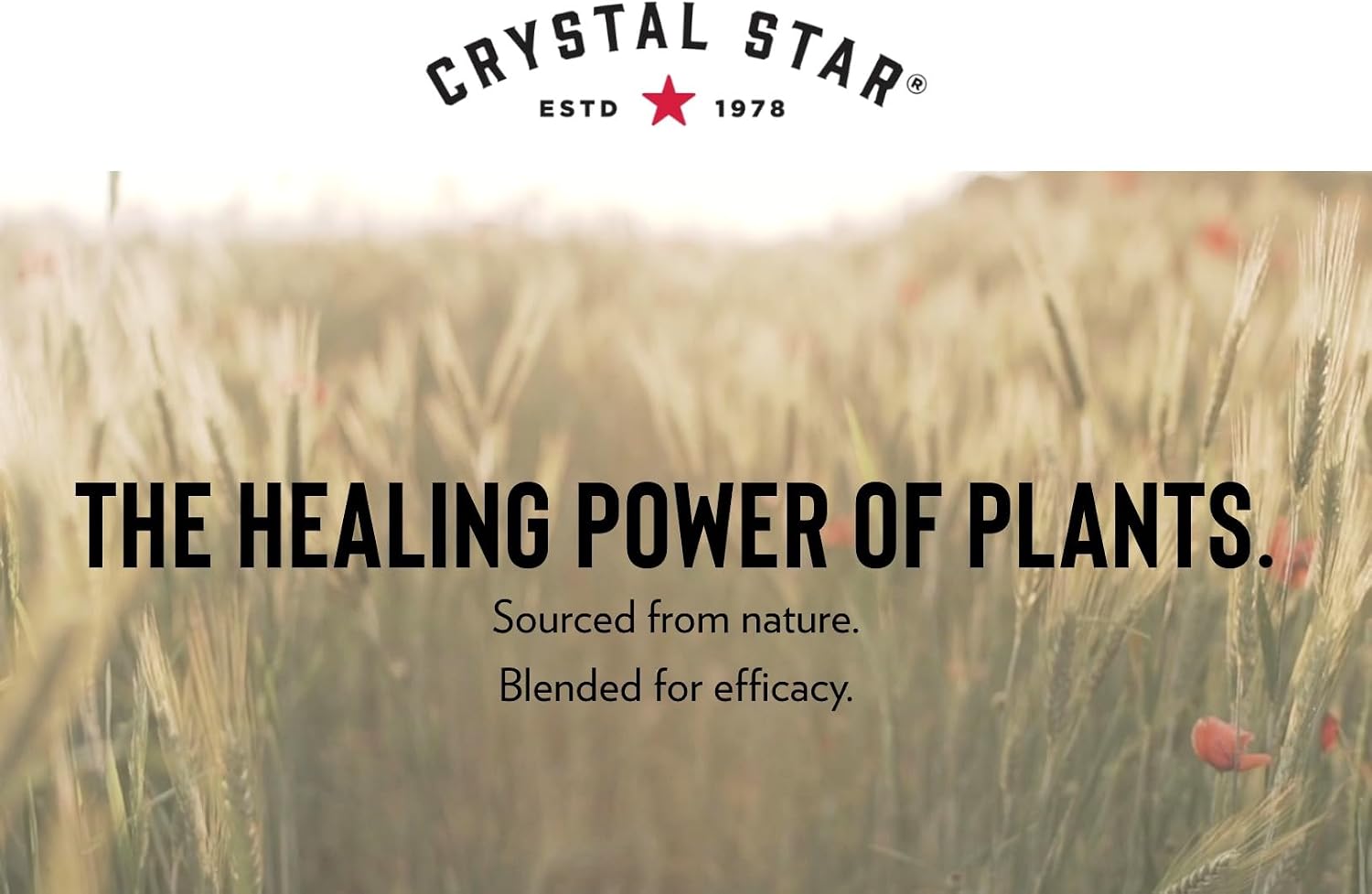 Crystal Star Fibro Defense - 150 Cápsulas - Mezcla de 17 Hierbas Integrales