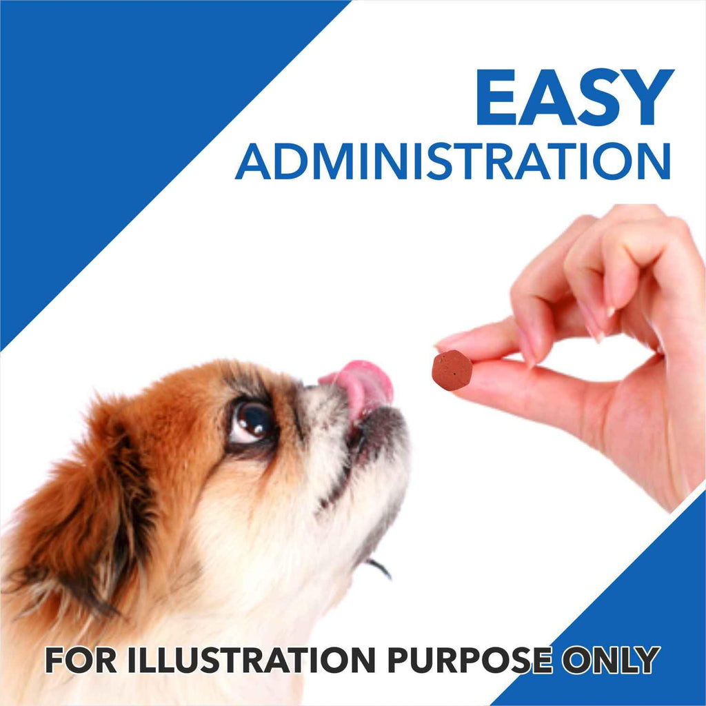 Drools Absolute Vitamin Tablet - Multivitamin Supplement for Dogs, 50 Tablets