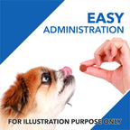 Drools Absolute Vitamin Tablet - Multivitamin Supplement for Dogs, 50 Tablets