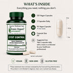 Green Organic Supplements Fórmula para Quiste Mamario, 90 Cápsulas Vegetales, Alta Absorción, No-GMO, Sin Gluten (Paquete de 3)