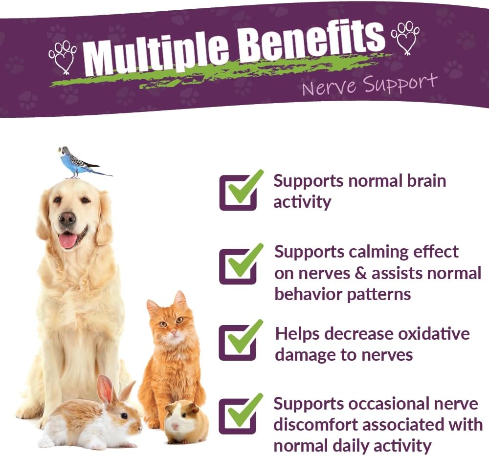 Amber NaturalZ DermaNERV Suplemento Herbal para Perros, Gatos, Aves, Cobayas y Conejos | Apoyo al Sistema Nervioso | Comportamiento Equilibrado | Funciones Nerviosas Saludables 118 ml
