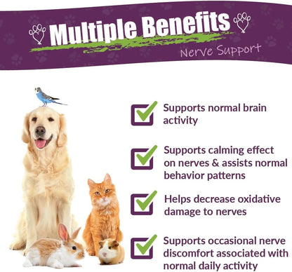 Amber NaturalZ DermaNERV Suplemento Herbario para Perros, Gatos, Aves, Conejillos de Indias y Conejos | Apoyo al Sistema – Image 2