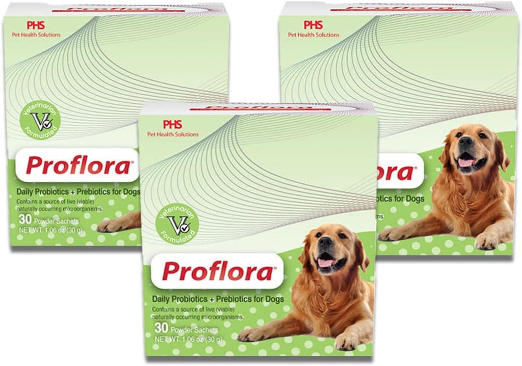 Proflora Probiótico para Perros - Digestión Saludable - Refuerzo del Sistema Inmunológico - Función Intestinal Normal - Salud de Piel y Pelaje - Suplemento para el Tracto Gastrointestinal - 90 Raciones, Paquete de 3