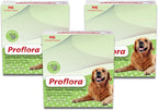 Proflora Probiótico para Perros - Digestión Saludable - Refuerzo del Sistema Inmunológico - Función Intestinal Normal - Salud de Piel y Pelaje - Suplemento para el Tracto Gastrointestinal - 90 Raciones, Paquete de 3