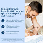 Proxeed Plus - Suplemento para la fertilidad masculina - 30 sobres (Paquete de 1)